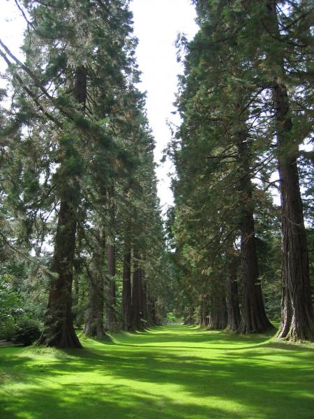 Benmore Botanical Gardens