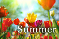 Great Summer Deals
