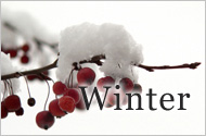 Cosy Winter Breaks 2010